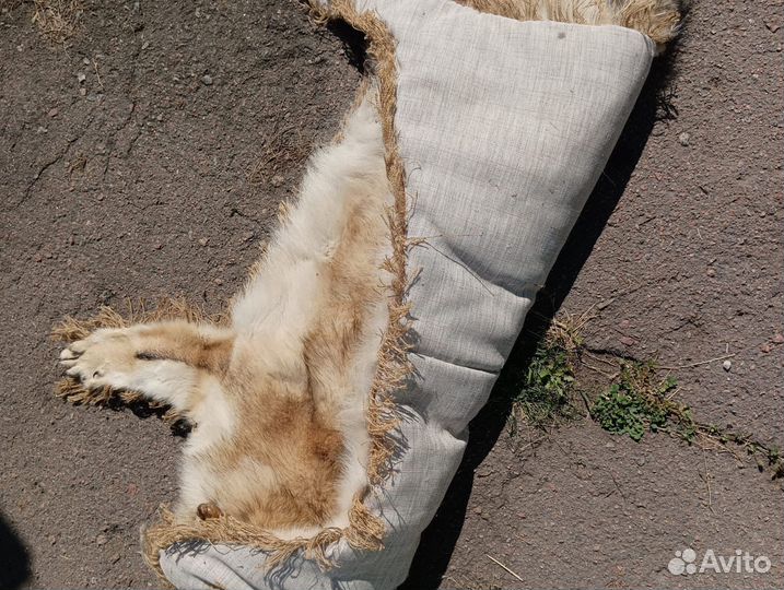 Шкура волка