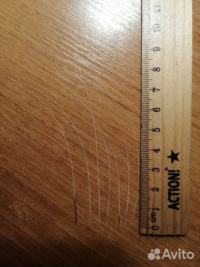 Кошачьи усы