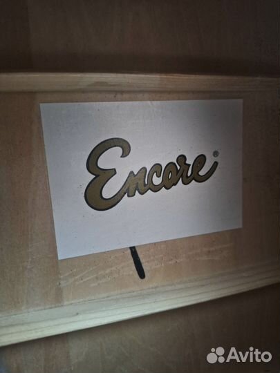 Акустическая гитара encore