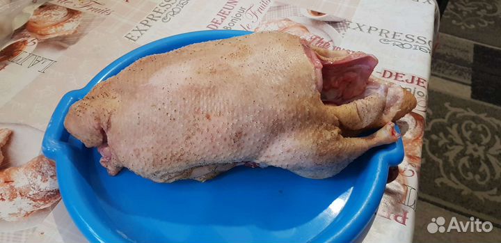 Утка домашняя мясо