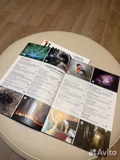 В мире науки (2 журнала)