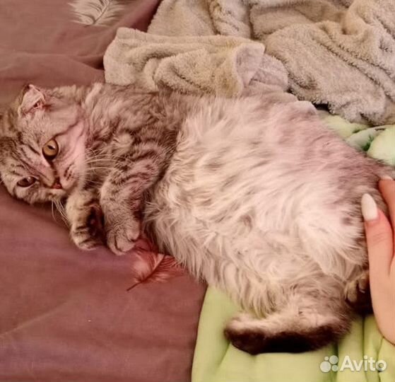 Шанс на жизнь
