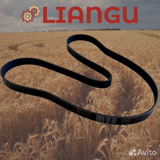 3289448 Ремень Liangu для Рсм