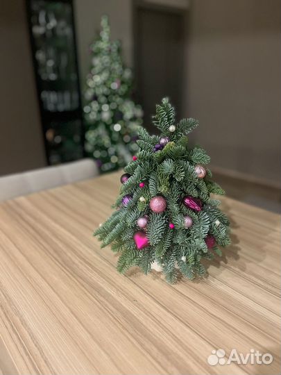 Елочка из нобилиса