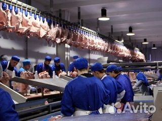 Вахта г Белгород 30/30 Еда+Жилье Упаковщик