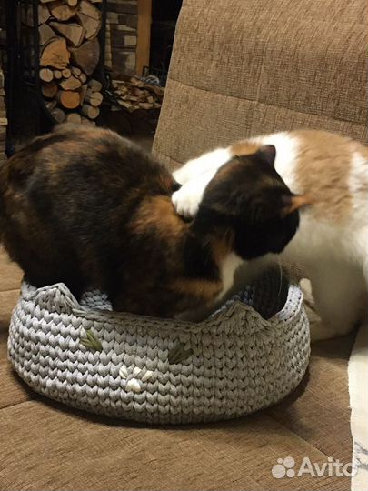 Лежак для кошки