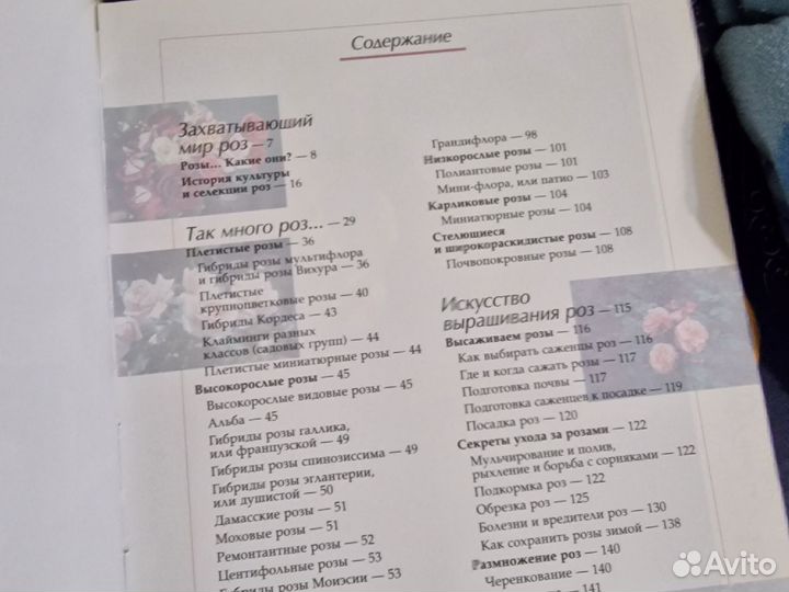 Энциклопедия о кошках. Розы