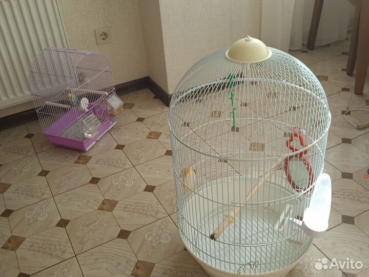 Большая клетка для попугая бу
