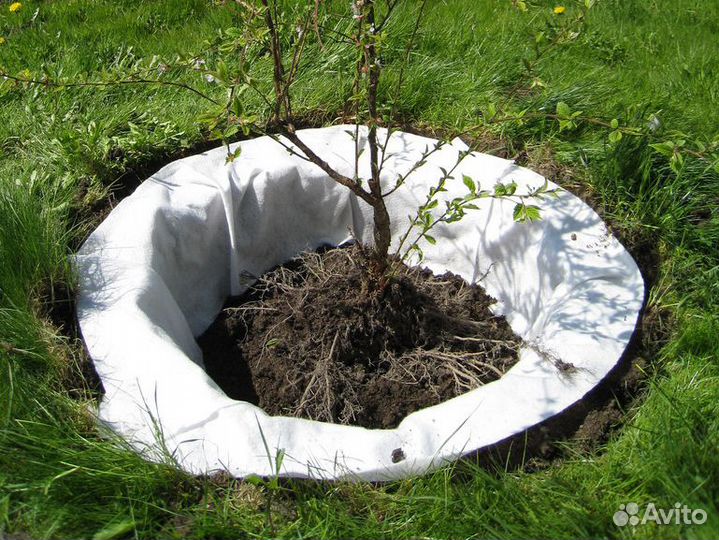 Геоматериал (текстиль)