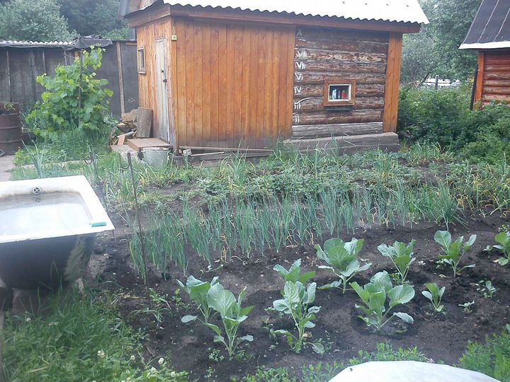 Дом 20 м² на участке 4 сот.