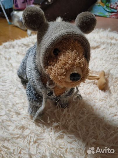 Одежда для маленьких собак