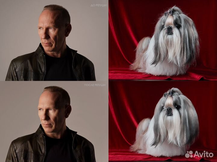 Фотограф-ретушер животных и людей