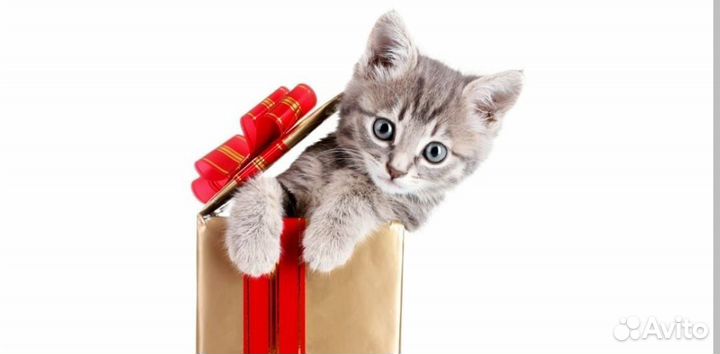 Комплектовщик вахта