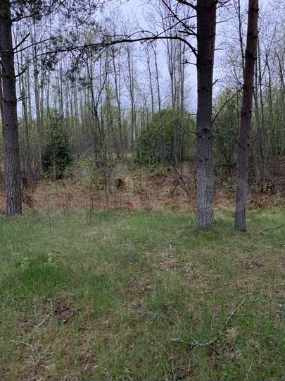 Участок 55 сот. (ИЖС)