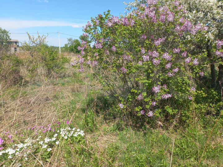 Участок 6 сот. (СНТ, ДНП)