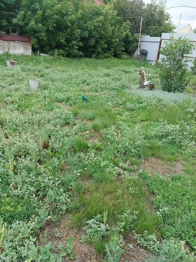 Дом 67 м² на участке 35 сот.