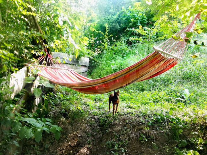 Коттедж 50 м² на участке 15 сот.