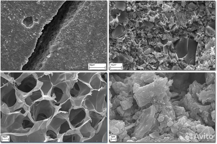 Услуги сканирующей электронной микроскопии (SEM)