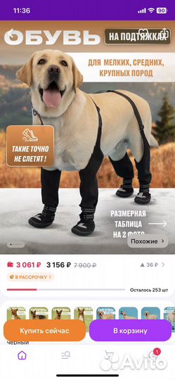 Обувь для собак на подтяжках