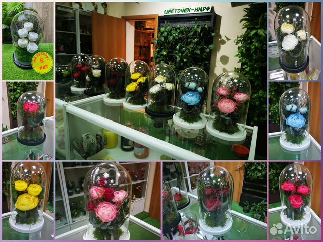 Вечные пионы в колбе - лучший подарок. Арт 133, от