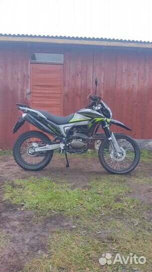 Regulmoto TE