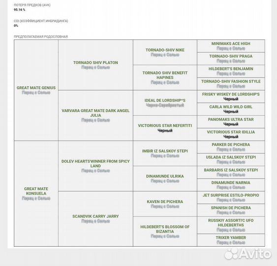 Цвергшнауцер