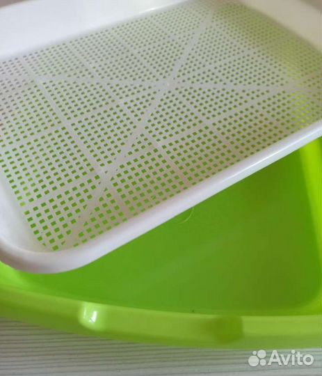 Проращивать лоток для семян и микрозелени