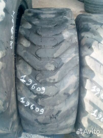 Daewoo Matterhorn 12 R16.5