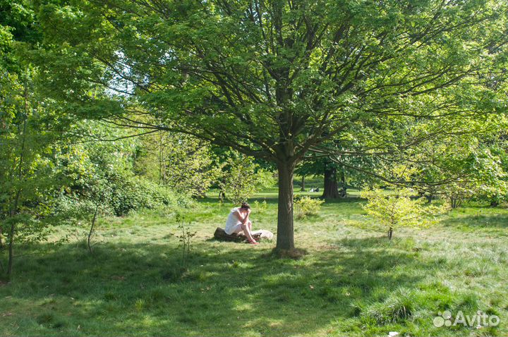 Обучение фотографии