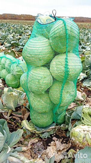 Продукты питания