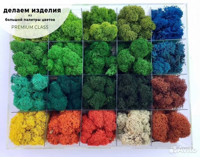 Зеркало со мхом крапива