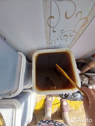 Мед алтайский