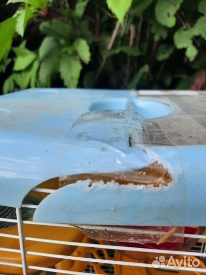 Клетки для хомяков