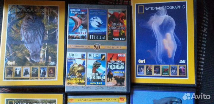 Коллекция DVD документальных и спортивных дисков