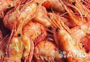 Креветка гребенчатая 