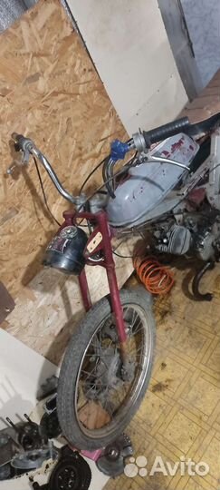 Верховина 1975г