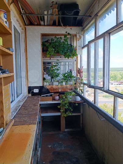 4-к. квартира, 76,4 м², 8/9 эт.