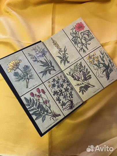 Лекарственные растения в народной медицине