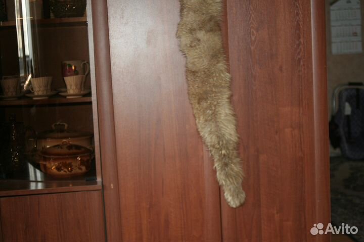 Шкурка лисья фабричная 1980 125см