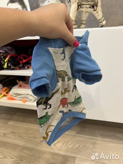 Вещи для маленьких собак