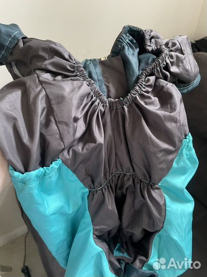 Одежда доя собак