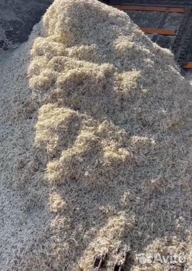 Жом свекловичный