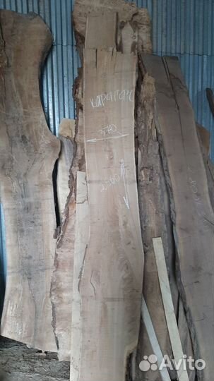 Слэб Спил карагач ясень дуб клён орех бук