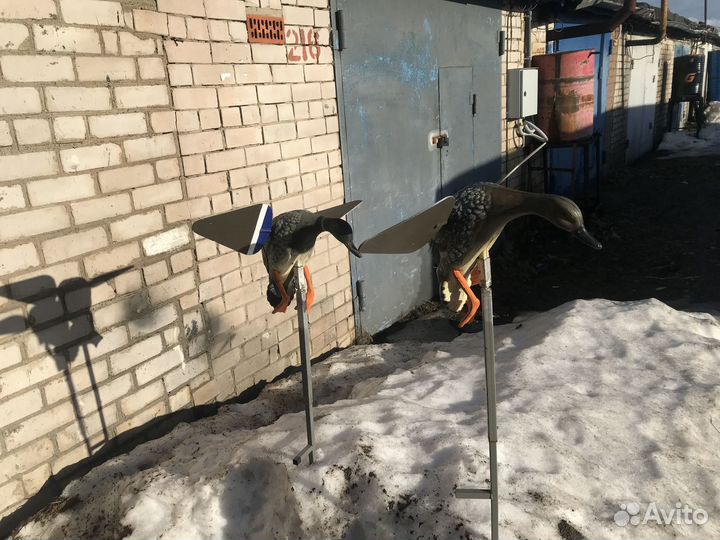 Утка махокрыл