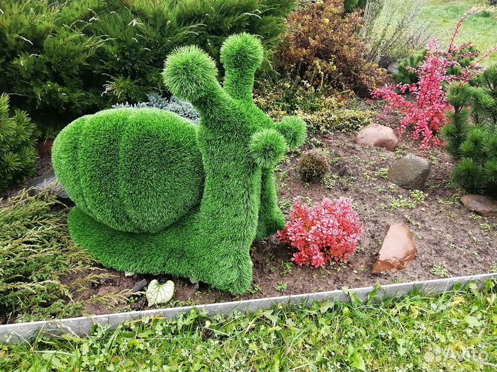 Топиари Топиарные фигуры Садовые фигуры