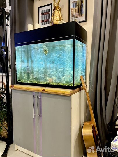 Аквариум 140 литров с тумбой и оборудованием