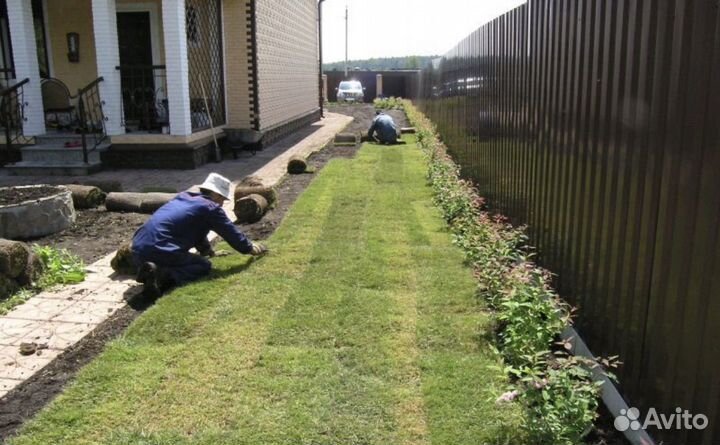 Превосходный газон на вашем участке