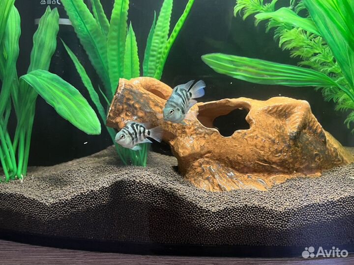 Пропант грунт для аквариума 1,2-2,0 мм