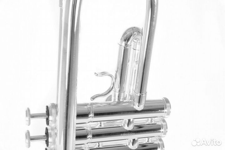 Труба Roy Benson TR-202S