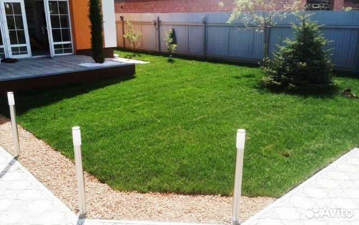 Рулонный газон от производителя